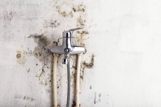 Best Residential Mold Removal  in Vandenberg Village, CA