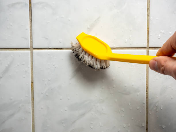 Best Residential Mold Removal  in Vandenberg Village, CA