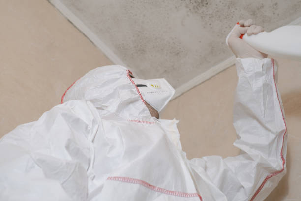 Best Mold Removal Company Near Me  in Vandenberg Village, CA